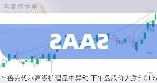 布鲁克代尔高级护理盘中异动 下午盘股价大跌5.01%