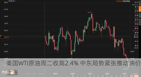 美国WTI原油周二收高2.4% 中东局势紧张推动油价上涨