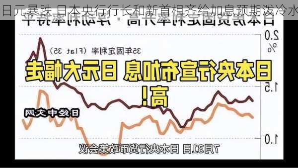 日元暴跌 日本央行行长和新首相齐给加息预期泼冷水