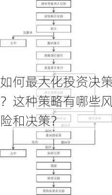 如何最大化投资决策？这种策略有哪些风险和决策？