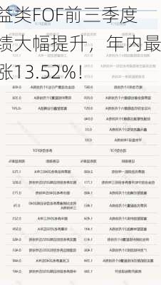 权益类FOF前三季度业绩大幅提升，年内最高涨13.52%！