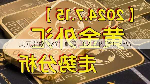 美元指数 DXY：触及 102 日内涨 0.35%