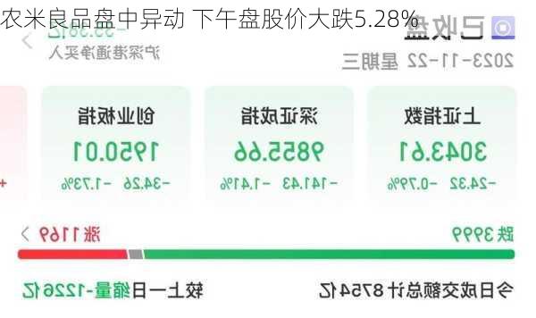 农米良品盘中异动 下午盘股价大跌5.28%