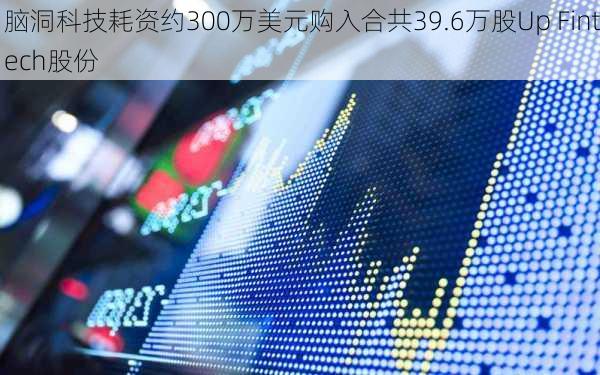 脑洞科技耗资约300万美元购入合共39.6万股Up Fintech股份