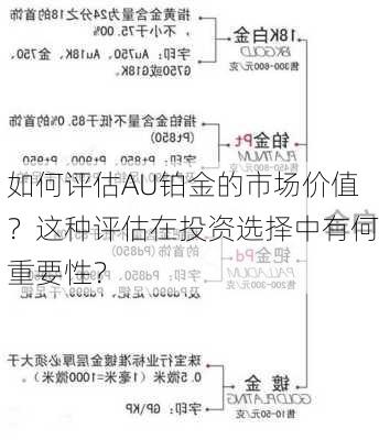 如何评估AU铂金的市场价值？这种评估在投资选择中有何重要性？