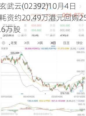 玄武云(02392)10月4日耗资约20.49万港元回购25.6万股