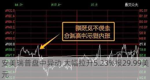 安美瑞普盘中异动 大幅拉升5.23%报29.99美元