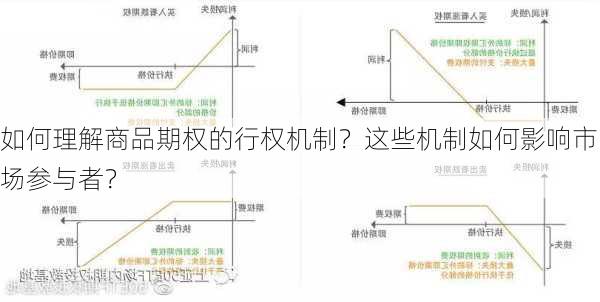 如何理解商品期权的行权机制？这些机制如何影响市场参与者？