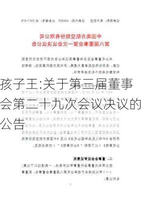 孩子王:关于第三届董事会第二十九次会议决议的公告