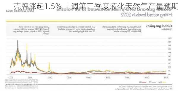 壳牌涨超1.5% 上调第三季度液化天然气产量预期