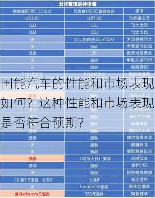 国能汽车的性能和市场表现如何？这种性能和市场表现是否符合预期？