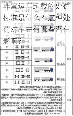 非营运车超载的处罚标准是什么？这种处罚对车主有哪些潜在影响？