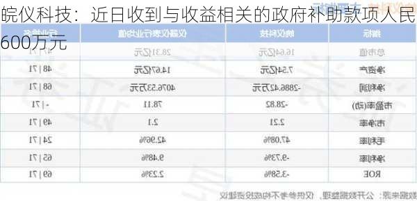 皖仪科技：近日收到与收益相关的政府补助款项人民币600万元