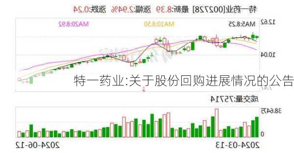 特一药业:关于股份回购进展情况的公告