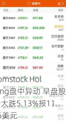 Comstock Holding盘中异动 早盘股价大跌5.13%报11.66美元