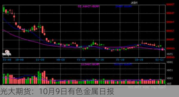 光大期货：10月9日有色金属日报