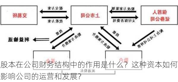 股本在公司财务结构中的作用是什么？这种资本如何影响公司的运营和发展？