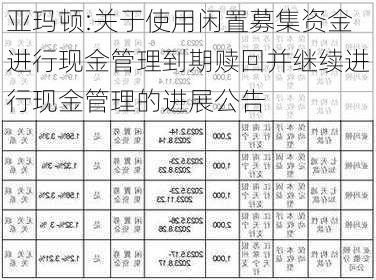 亚玛顿:关于使用闲置募集资金进行现金管理到期赎回并继续进行现金管理的进展公告