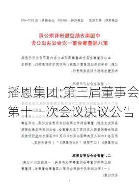 播恩集团:第三届董事会第十一次会议决议公告