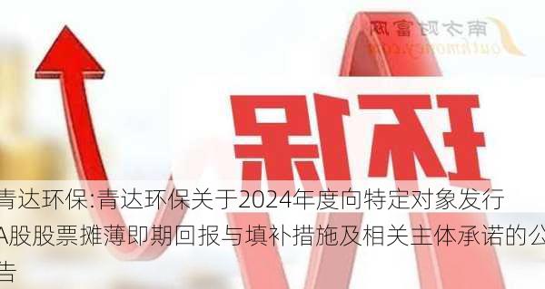 青达环保:青达环保关于2024年度向特定对象发行A股股票摊薄即期回报与填补措施及相关主体承诺的公告