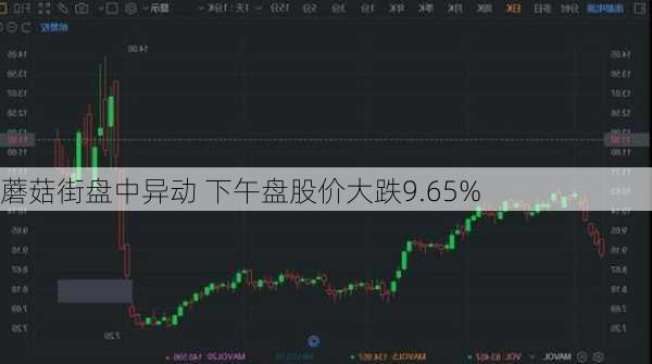 蘑菇街盘中异动 下午盘股价大跌9.65%