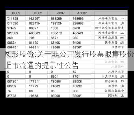 凤形股份:关于非公开发行股票限售股份上市流通的提示性公告