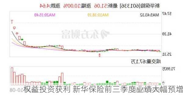 权益投资获利 新华保险前三季度业绩大幅预增