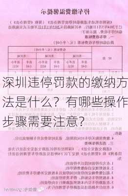 深圳违停罚款的缴纳方法是什么？有哪些操作步骤需要注意？