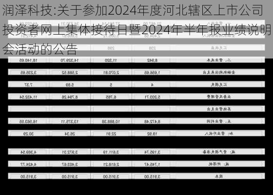 润泽科技:关于参加2024年度河北辖区上市公司投资者网上集体接待日暨2024年半年报业绩说明会活动的公告