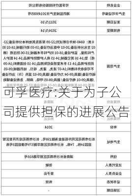 可孚医疗:关于为子公司提供担保的进展公告