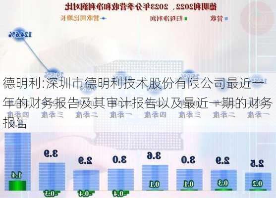 德明利:深圳市德明利技术股份有限公司最近一年的财务报告及其审计报告以及最近一期的财务报告