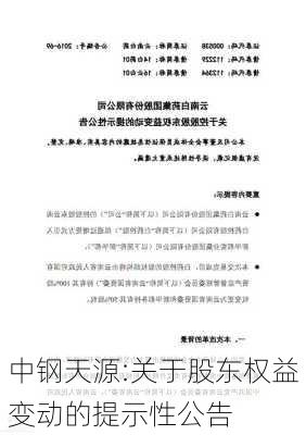 中钢天源:关于股东权益变动的提示性公告