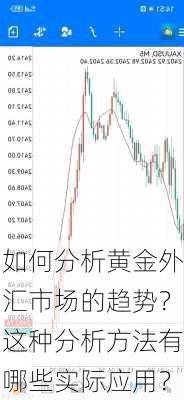 如何分析黄金外汇市场的趋势？这种分析方法有哪些实际应用？