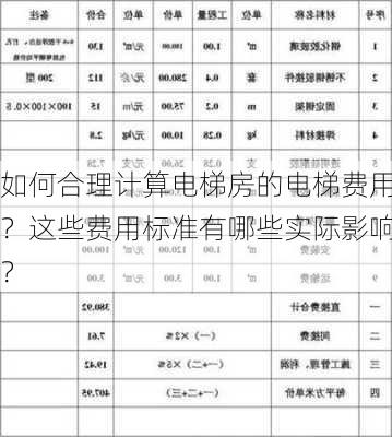 如何合理计算电梯房的电梯费用？这些费用标准有哪些实际影响？