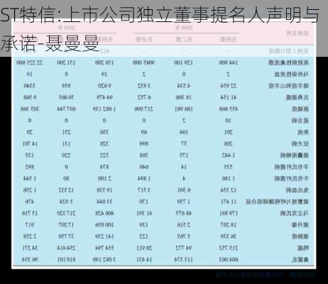 ST特信:上市公司独立董事提名人声明与承诺-聂曼曼