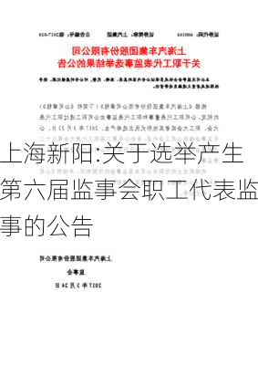 上海新阳:关于选举产生第六届监事会职工代表监事的公告