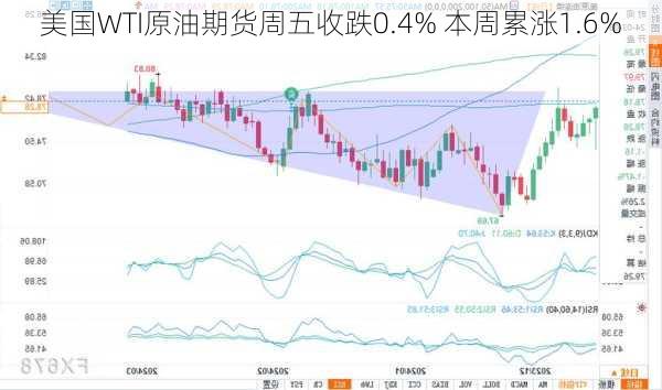 美国WTI原油期货周五收跌0.4% 本周累涨1.6%