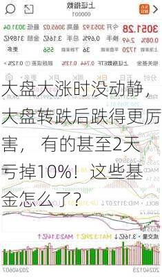 大盘大涨时没动静，大盘转跌后跌得更厉害， 有的甚至2天亏掉10%！这些基金怎么了？