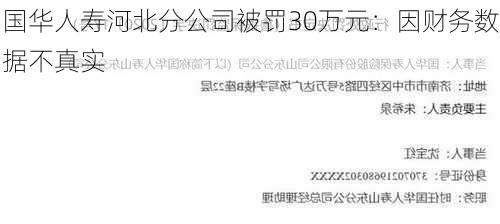 国华人寿河北分公司被罚30万元：因财务数据不真实