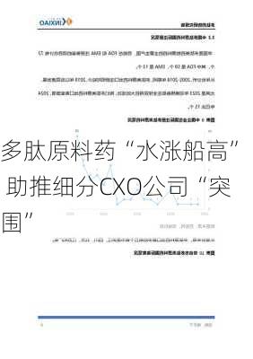 多肽原料药“水涨船高”  助推细分CXO公司“突围”