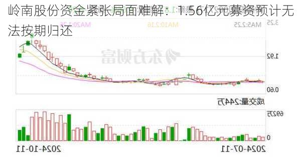 岭南股份资金紧张局面难解：1.56亿元募资预计无法按期归还