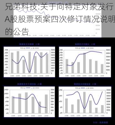 兄弟科技:关于向特定对象发行A股股票预案四次修订情况说明的公告