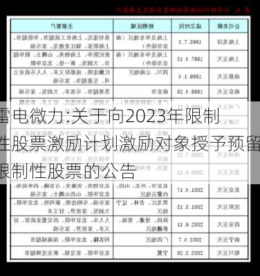 雷电微力:关于向2023年限制性股票激励计划激励对象授予预留限制性股票的公告