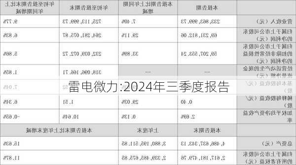 雷电微力:2024年三季度报告