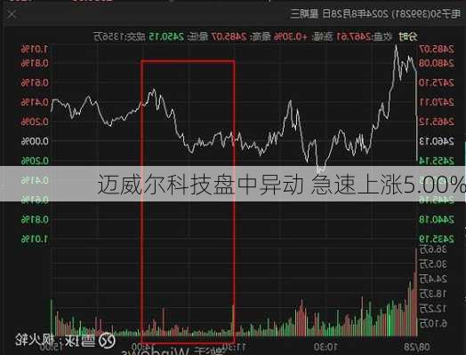 迈威尔科技盘中异动 急速上涨5.00%