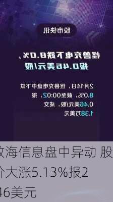 数海信息盘中异动 股价大涨5.13%报2.46美元