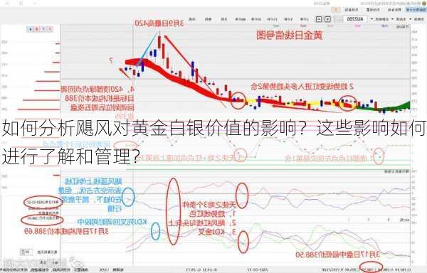 如何分析飓风对黄金白银价值的影响？这些影响如何进行了解和管理？