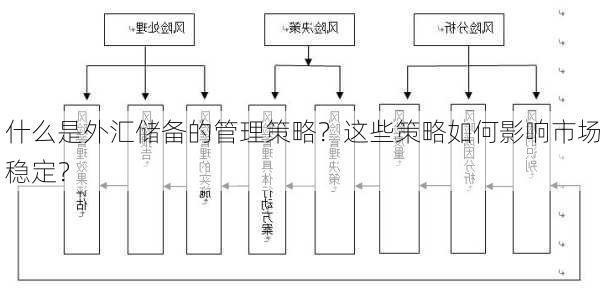 什么是外汇储备的管理策略？这些策略如何影响市场稳定？