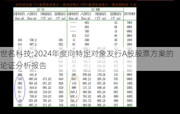 世名科技:2024年度向特定对象发行A股股票方案的论证分析报告