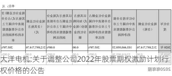 大洋电机:关于调整公司2022年股票期权激励计划行权价格的公告